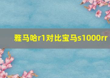 雅马哈r1对比宝马s1000rr