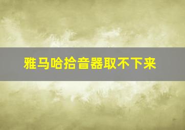 雅马哈拾音器取不下来