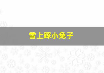 雪上踩小兔子