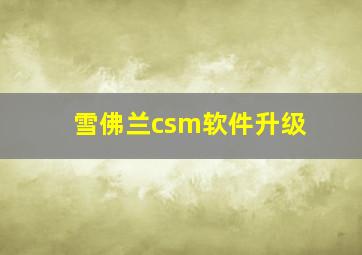 雪佛兰csm软件升级