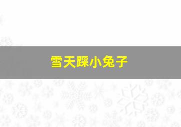 雪天踩小兔子