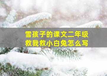 雪孩子的课文二年级救我救小白兔怎么写