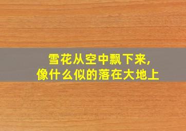 雪花从空中飘下来,像什么似的落在大地上