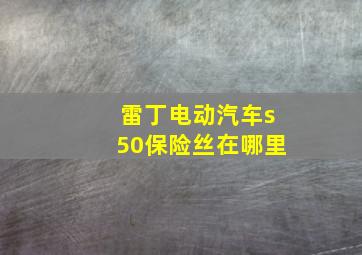 雷丁电动汽车s50保险丝在哪里