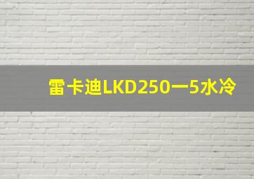 雷卡迪LKD250一5水冷