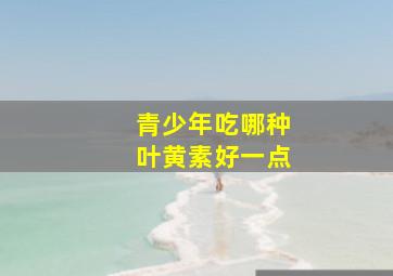 青少年吃哪种叶黄素好一点