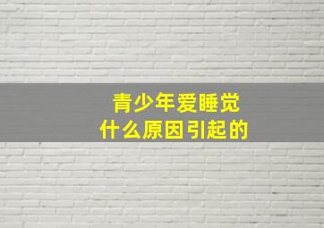 青少年爱睡觉什么原因引起的