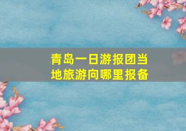 青岛一日游报团当地旅游向哪里报备