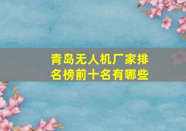 青岛无人机厂家排名榜前十名有哪些