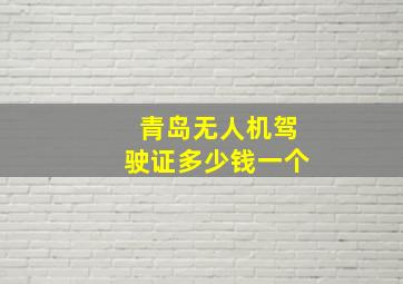 青岛无人机驾驶证多少钱一个