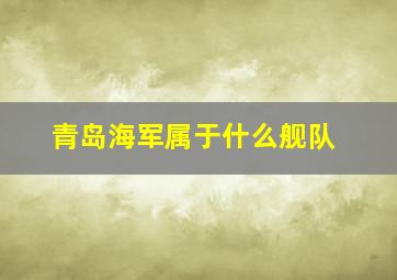 青岛海军属于什么舰队