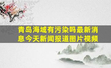 青岛海域有污染吗最新消息今天新闻报道图片视频