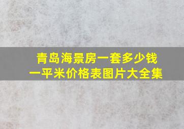 青岛海景房一套多少钱一平米价格表图片大全集