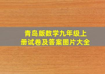 青岛版数学九年级上册试卷及答案图片大全