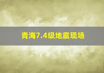 青海7.4级地震现场