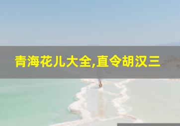 青海花儿大全,直令胡汉三