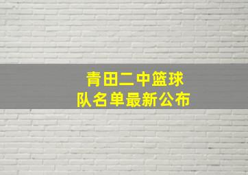 青田二中篮球队名单最新公布