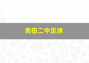 青田二中足球