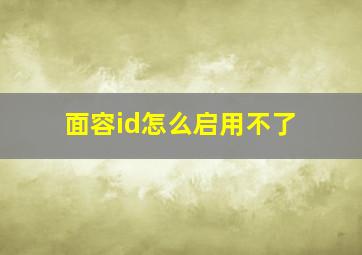 面容id怎么启用不了