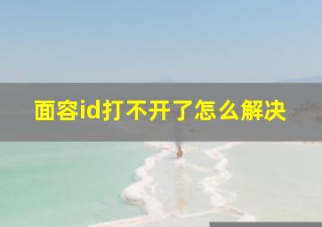 面容id打不开了怎么解决