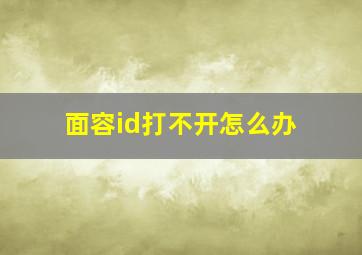 面容id打不开怎么办