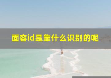 面容id是靠什么识别的呢