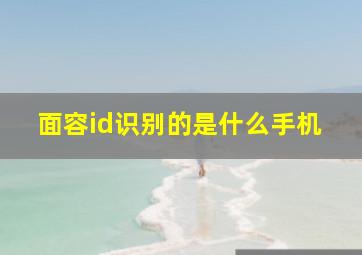 面容id识别的是什么手机