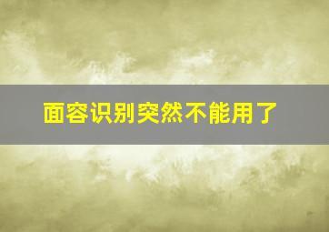 面容识别突然不能用了