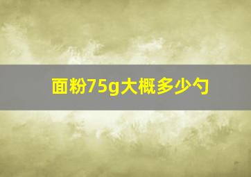 面粉75g大概多少勺