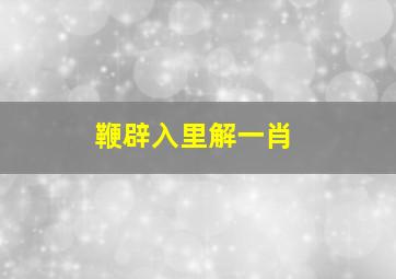 鞭辟入里解一肖