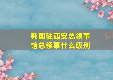 韩国驻西安总领事馆总领事什么级别