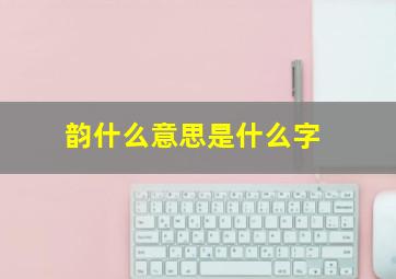 韵什么意思是什么字