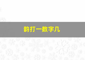 韵打一数字几