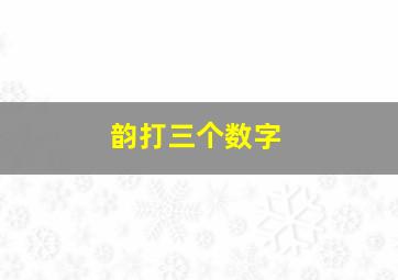 韵打三个数字