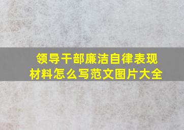 领导干部廉洁自律表现材料怎么写范文图片大全