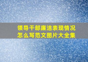 领导干部廉洁表现情况怎么写范文图片大全集