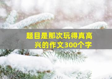 题目是那次玩得真高兴的作文300个字