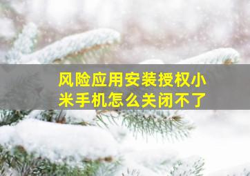 风险应用安装授权小米手机怎么关闭不了