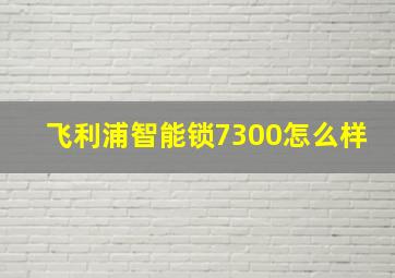 飞利浦智能锁7300怎么样