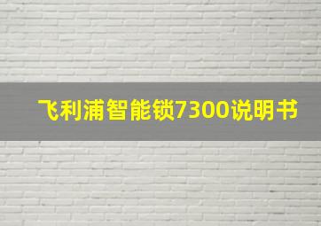 飞利浦智能锁7300说明书