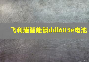 飞利浦智能锁ddl603e电池