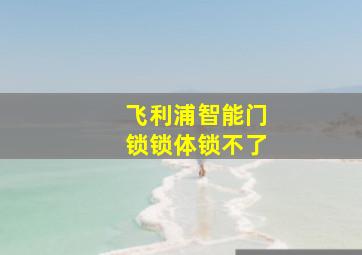 飞利浦智能门锁锁体锁不了