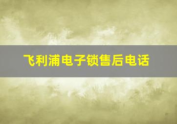 飞利浦电子锁售后电话