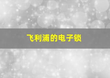 飞利浦的电子锁