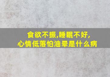 食欲不振,睡眠不好,心情低落怕油晕是什么病