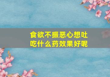 食欲不振恶心想吐吃什么药效果好呢