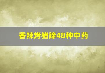 香辣烤猪蹄48种中药