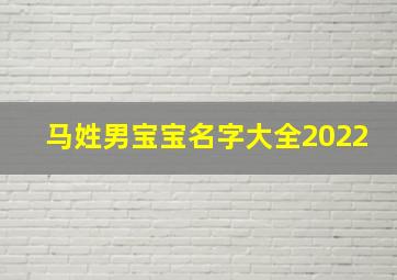 马姓男宝宝名字大全2022