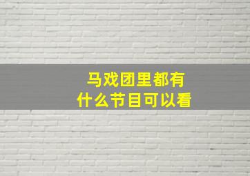 马戏团里都有什么节目可以看