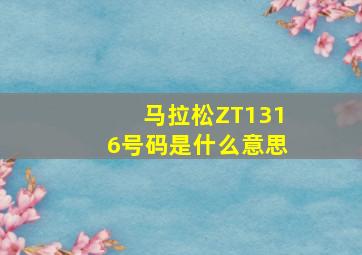 马拉松ZT1316号码是什么意思